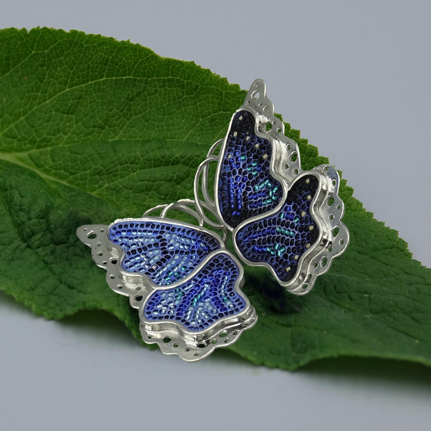 Blue Morpho Butterfly
