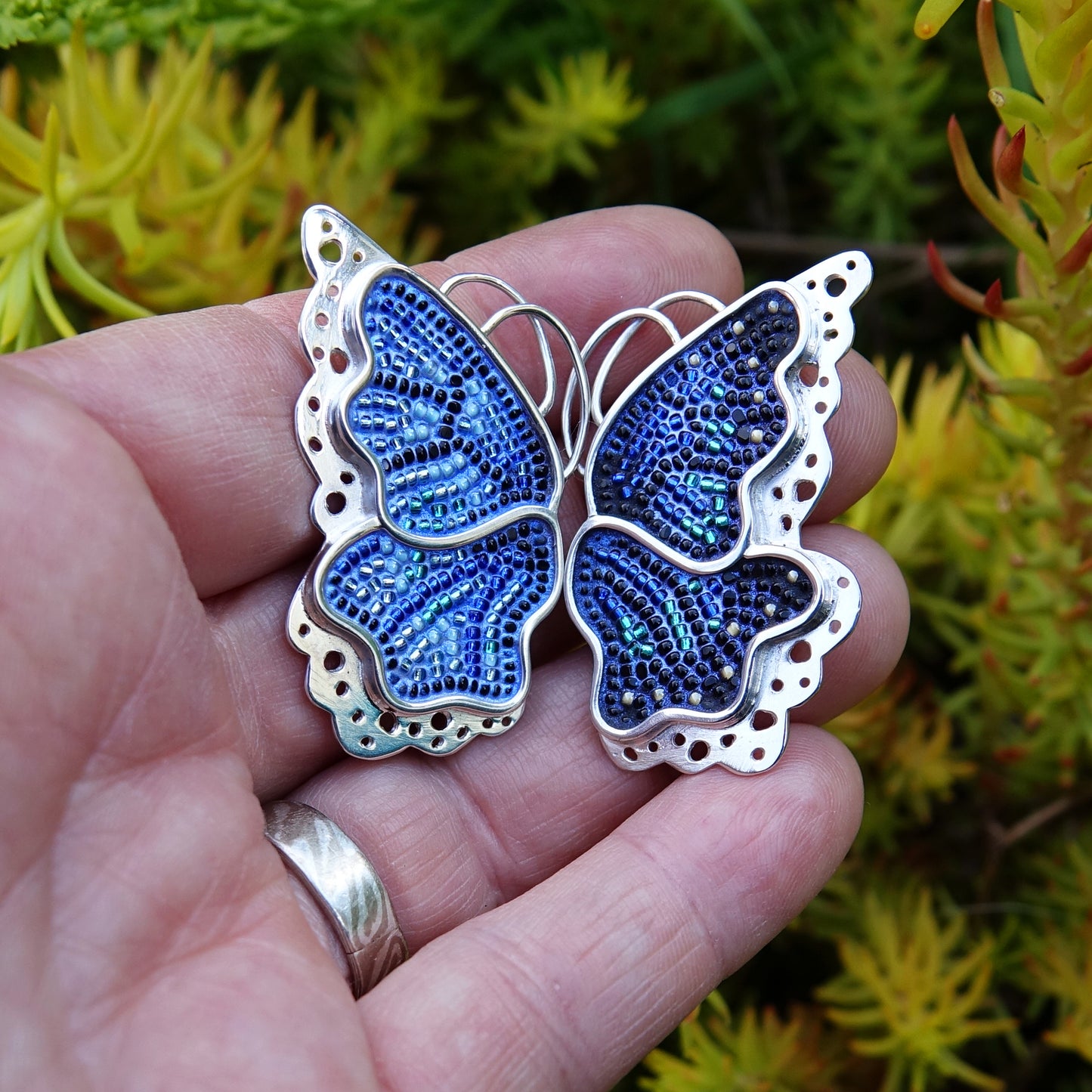 Blue Morpho Butterfly